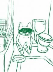 Adventure Time – Toilet