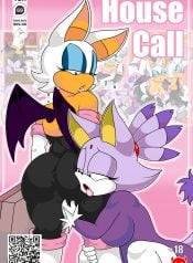 Rouge and Blaze in: House Call