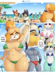 Isabelle’s challenge